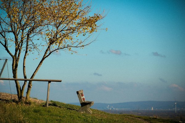 Tout savoir sur l'abonnement à un magazine de santé naturelle : pour qui, pourquoi et comment choisir